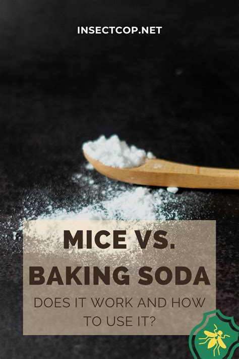 baking soda and corn meal for mice